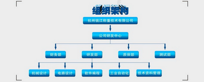 研发团队总体架构设计方案TG体育